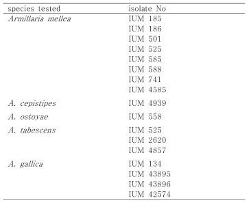 List of Armillaria spp. used in this study