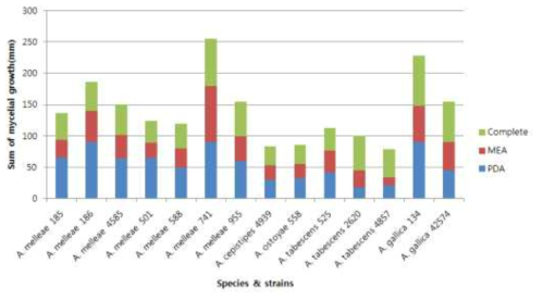 Sum of Mycelial growth of Armillaria species and strains in different media.