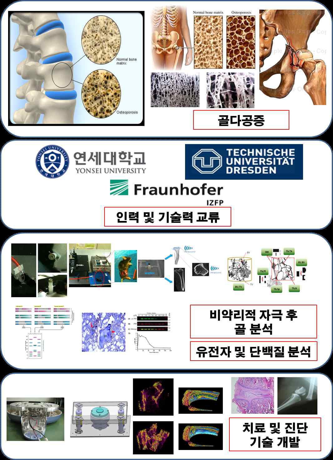 국제공동연구계발 추진 체계