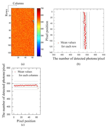 (a) 새로운 방법을 이용하여 보정한 영상, (b) 검출되는 광자수의 각 행의 평균값을 검출기의 위에서 아래 방향으로 표현, (c) 검출되는 광자수의 각 열의 평균값을 검출기의 왼쪽에서 오른쪽 방향으로 표현