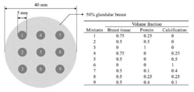 물질분리 검증을 위해 모사된 팬텀. 다양한 volume fraction을 갖는 세 가지 물질이 조합된 혼합물이 50% glandularity를 갖는 유방 조직에 삽임됨.