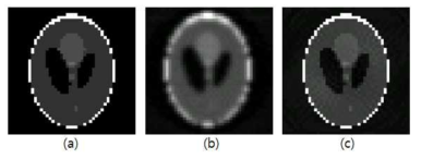 (a) 단층영상 재구성을 위한 기준영상, (b) 필터링후역투영기법과 Ram-Lak 필터를 사용하여 재구성한 단층영상, (c) 반복적재구성기법을 사용하여 재구성한 단층영상