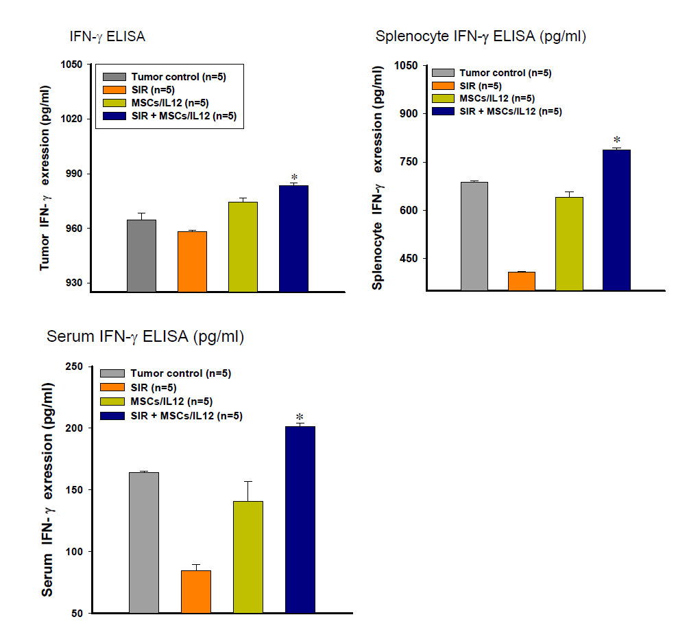 방사선 조사와 MSCs/IL12의 병행 처리에 의한 종양 미세환경 내 인터 페론 감마의 증가.