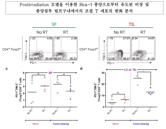 방사선 후처리에 따른 비장 및 종양 미세환경에서 조절 T 세포의 빈도 및 특성 변화