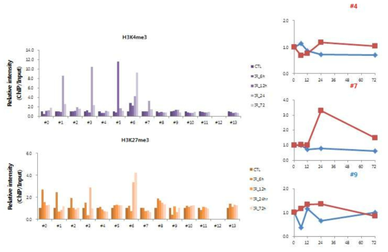 방사선 조사 후 NIH3T3 세포주에서 CXCL12 유전자 프로모터 영역의 히스톤 변형 분석을 통한 HCa-I의 프로모터의 후성유전적 변화와 전사 발현 양상과의 상관성 분석