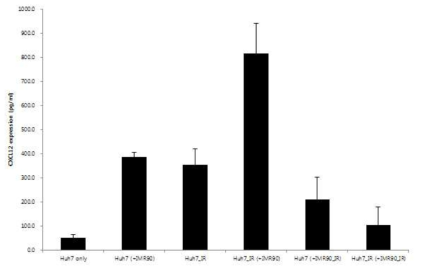 CXCL12 특이적 ELISA assay로 분석한 CXCL12 단백질의 발현 정도