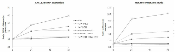 Recombinant CXCL12 및 AMD3100 처리시 유도되는 CXCL12 발현 및 histone modification 변화 분석