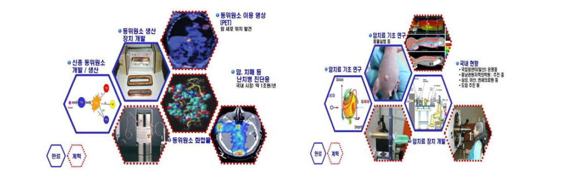 동위원소 개발과 암 치료 및 기초연구