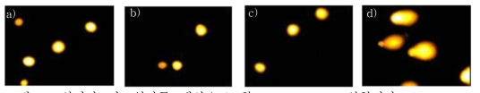 실리카 나노입자를 대상으로 한 comet assay 실험결과