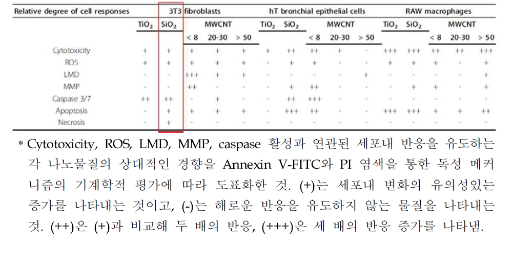 나노물질에 대한 세포내 반응의 요약