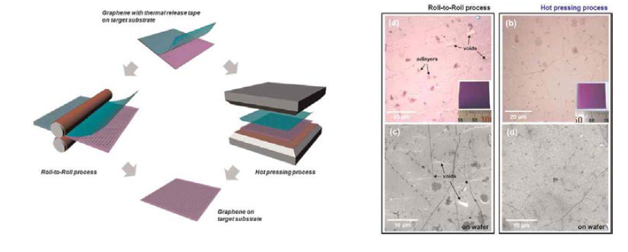 금속위에 성장된 그래핀을 Hot pressing을 통해 Rigid 기판 위에 전사하는 기술