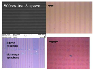 패턴 그래핀의 광학현미경 이미지