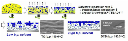 공액초분자/절연성 고분자 상분리 제어 모식도와 용매증발거동에 따른 반도체층 나노모폴리지