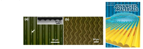 (a) 평행한 주름 골에 정렬된 나노선의광학현미경 사진과 단면 SEM 사진 (b) 지그재그 모양의 주름 골에 정렬된 나노선의 광학현미경 사진과 표지논문 이미지(우)