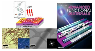 외부 광원에 의해 전하량 증가를 보이는 유기 나노와이어 광 트랜지스터의 모식도 및 BPE-PTCDI n-형 유기반도체 나노와이어의 광학현미경 이미지 및 TEM 이미지 (왼쪽)와 표지 논문 이미지 (오른쪽)