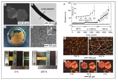 Au nanosheet의 현미경 사진 및 신축 테스트 결과