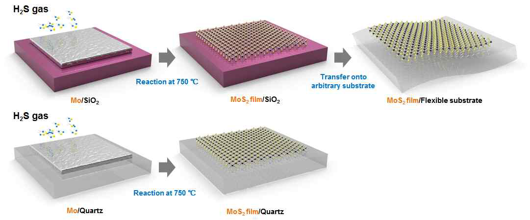 MoS2 박막 합성 과정 모식도