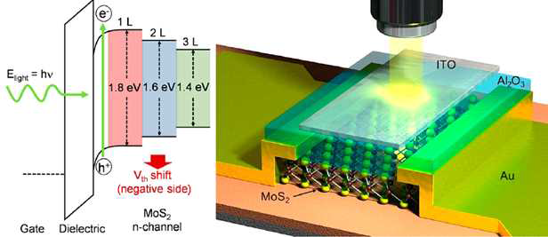 (좌) 두께에 따라 차이를 보이는 MoS2의 전자구조. (우) 개발된 MoS2 phototransistor의 모식도.