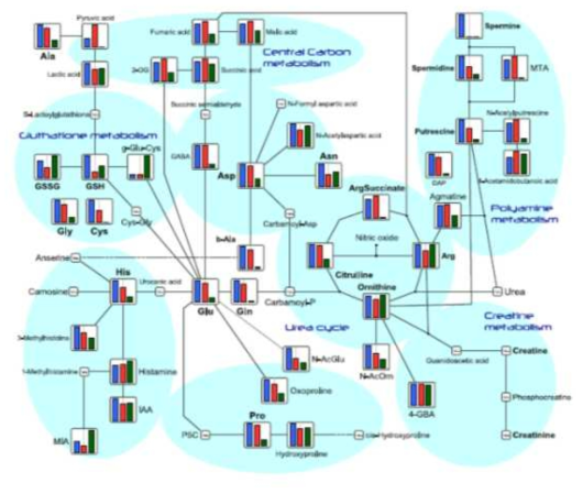 Pathway map(Urea cycle relating metabolism) in HMT standard metabolites, detected metabolites in this study are plotted on the pathway map