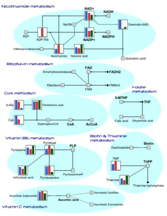 Pathway map(Metabolism of Coenzymes) in HMT standard metabolites, detected metabolites in this study are plotted on the pathway map