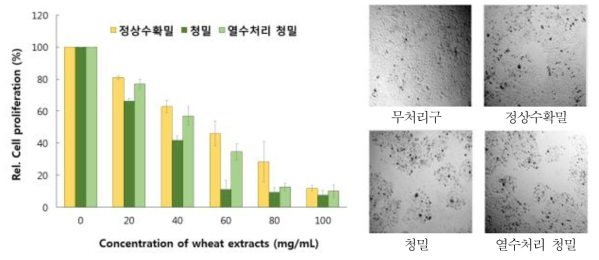 정상수확밀 및 청밀 추출물의 자궁암세포 증식억제