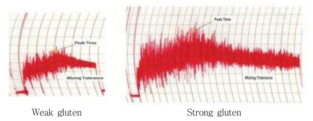 Weak gluten, strong gluten 밀가루의 Mixograph curve