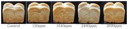오존가스 처리 농도에 따른 식빵의 앞면 사진
