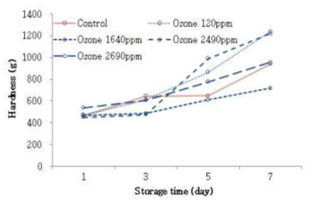 저장기간에 따른 오존가스 처리 식빵의 hardness