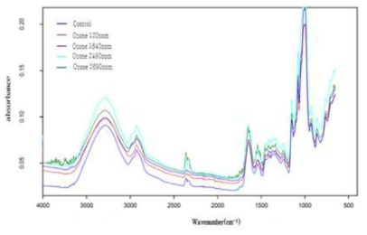 오존농도별로 처리된 밀가루의 FT-IR 흡광 spectrum