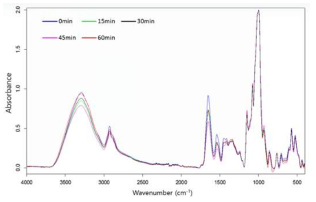 오존가스 처리 시간에 따른 밀가루의 FT-IR spectrum