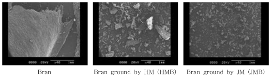Hammer mill and Jet mill로 분쇄된 우리밀 밀기울의 미세구조
