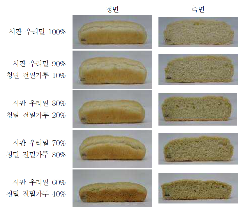 시판 우리밀과 청밀 전밀가루로 제조한 파니니