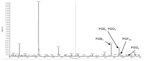 Prostaglandin 5종 혼합물의 LC/MS ion product.