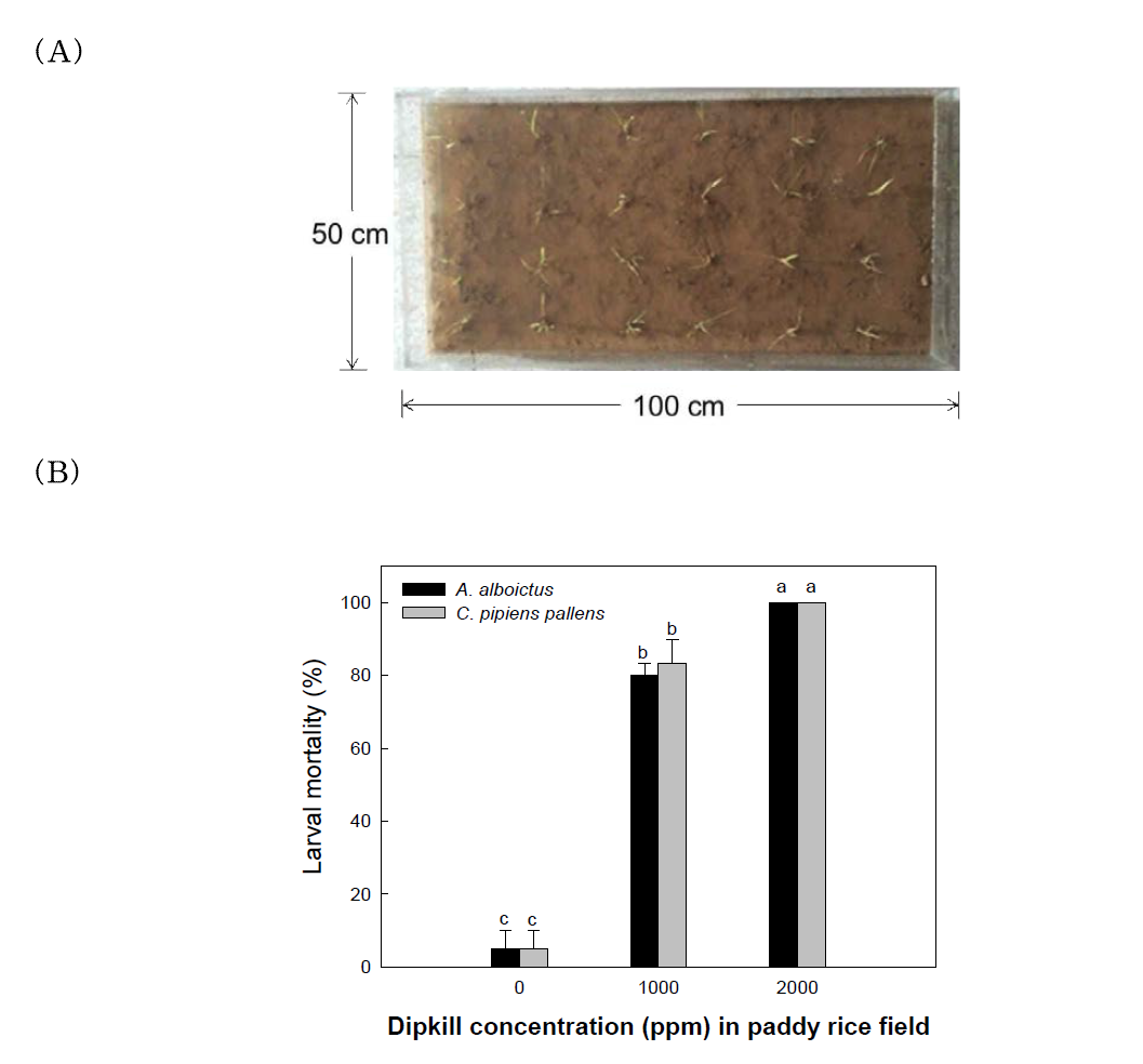 Effect of Dipkill on mortality against two culicidae mosquito larvae, Aedes albopictus and Culex pipiens pallens, in Semi-field condition.