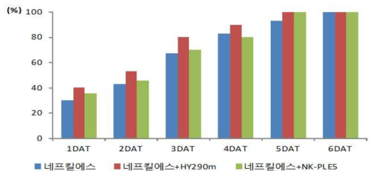 전착제가 처리된 듀얼네프킬에스의 배추좀나방 생물검정