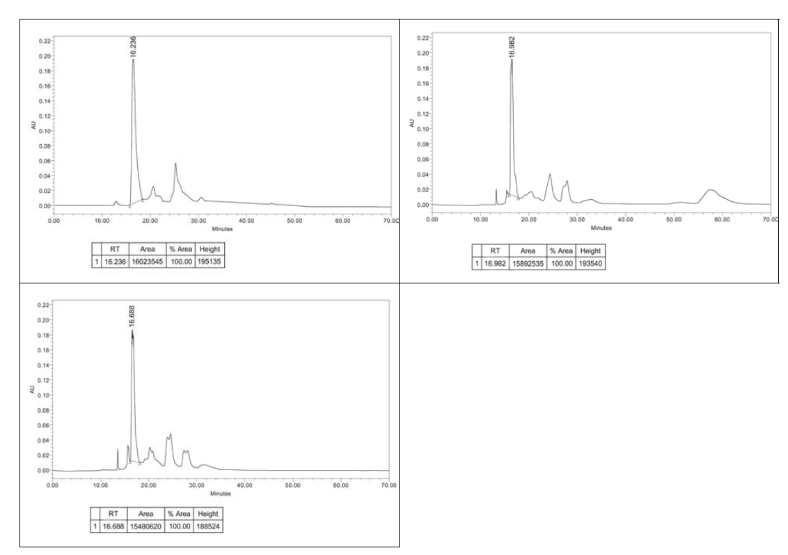 2차 시제품(듀얼네프킬에스)의 HPLC chromatogram