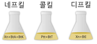 비티플러스의 구성