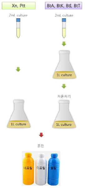 비티플러스의 제조 과정