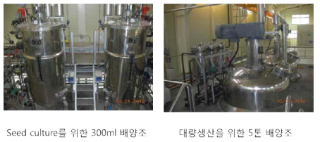 경북바이오산업연구원 내의 대량 배양조