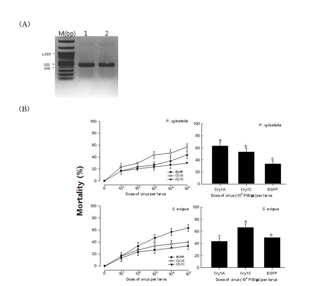 Effect of baculovirus expressing Cry toxins.