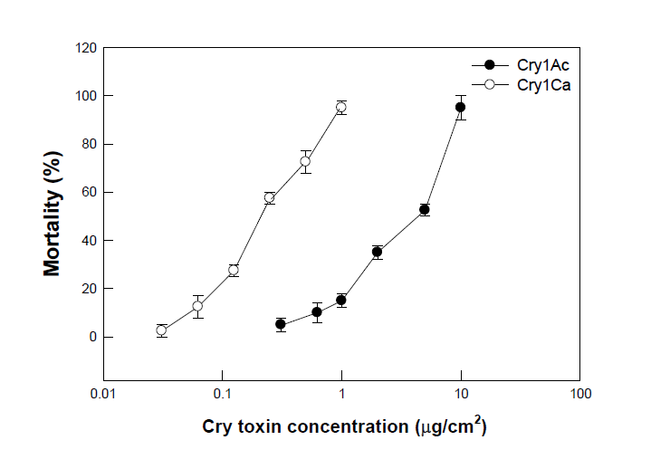 Cry1Ac와 Cry1Ca에 대한 파밤나방 3령 유충의 살충력 검정