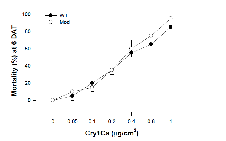 Wild type (Wt)와 Modified (Mod) Cry1Ca 내독소단백질에 대한 파밤나방 3령 유충의 살충력 조사