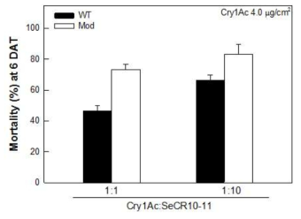 Wild type (Wt)와 Modified (Mod) Cry1Ac 내독소단백질과 SeCad1 CR10-11 단백질 대한 파밤 나방 3령 유충의 살충력 조사