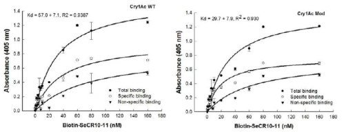 Wild type (Wt)와 Modified (Mod) Cry1Ac 내독소단백질과 SeCad1 CR10-11 단백질간의 결합 력 조사