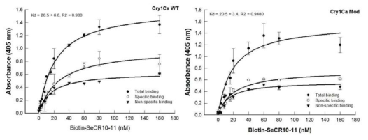 Wild type (Wt)와 Modified (Mod) Cry1Ca 내독소단백질과 SeCad1 CR10-11 단백질간의 결합 력 조사