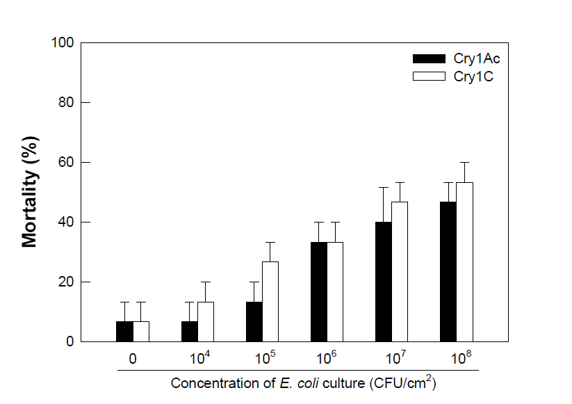 대장균 발현 시스템을 이용해 생성된 Cry 독소단백질의 살충력