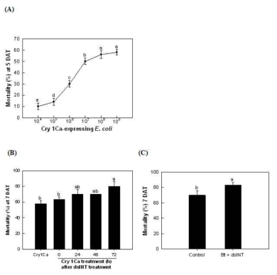 Enhancement of dsINT-expressing E. coli on Bt Cry toxin toxicity against S. exigua.