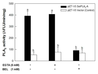 곤충 Sf9세포주에서 발현된 SeiPLA2의 효소 활성