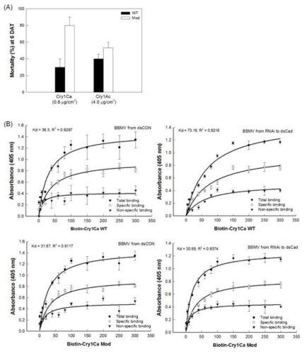 Difference in binding affinity of different Cry toxins to BBMV of S. exigua.