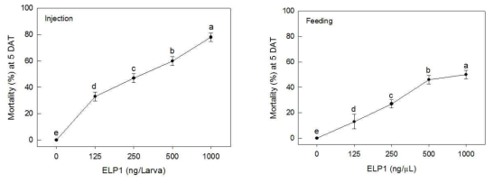 Insecticidal effects of CpBV-ELP1 by hemocoelic injection or oral feeding against S. exigua